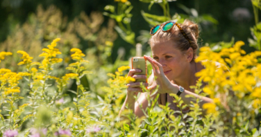 A woman taking a picture with the phone of a yellow plan in a park