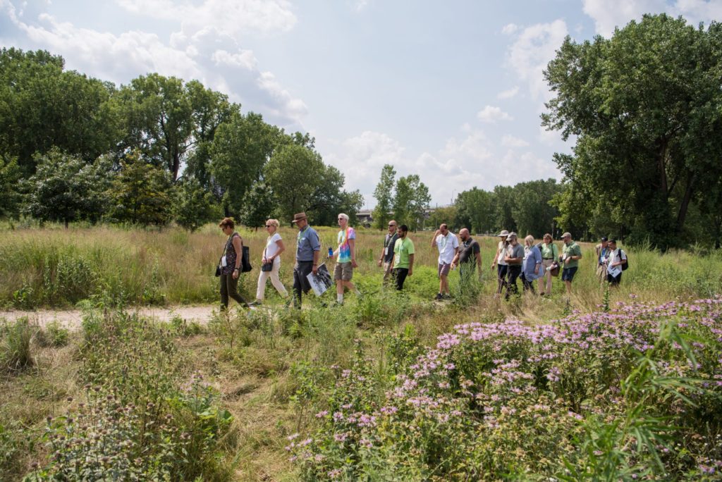A group of Greater and Greener attendees walking through a park